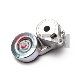 Achetez des Galet tendeur de courroie d'accessoire JPN 20R5009-JPN à prix pour 63,04 €