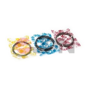 Compre Jogo de segmentos do êmbolo da JPN 40M0512.000-JPN a um preço baixo por 35,20 €