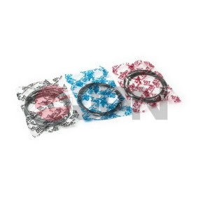 Compre Jogo de segmentos do êmbolo da JPN 40M0520.000-JPN a um preço baixo por 83,62 €