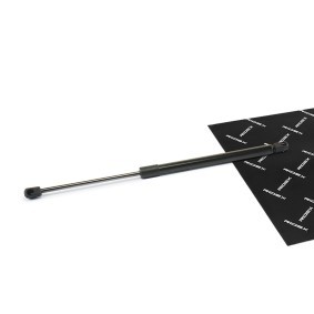 Compre Amortecedor da mala da RIDEX 219G1071 a um preço baixo por 11,81 €