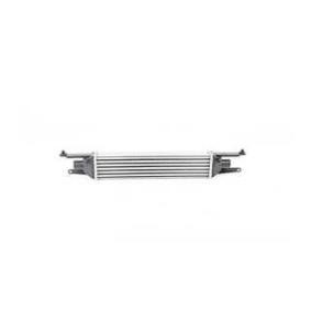Ladeluftkühler BSG 25-535-009 FIAT LINEA von BSG