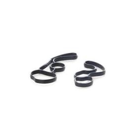 Acquista Guarnizione, Carter filtro olio da BSG BSG 30-116-176 a buon mercato per soli 29,36 €