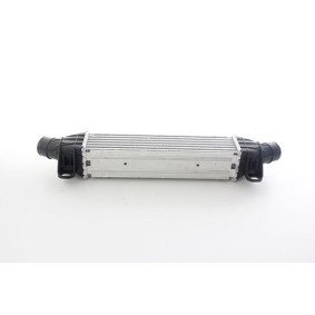 Kjøp Intercooler av BSG BSG 30-535-008 til den lave prisen 2629,40 NOK