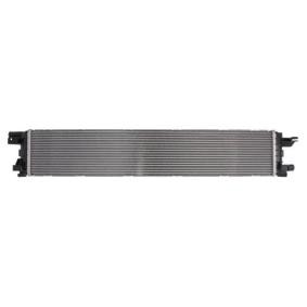 Acquista Radiatore bassa temperatura, Intercooler da THERMOTEC DAA031TT a buon mercato per soli 83,45 €