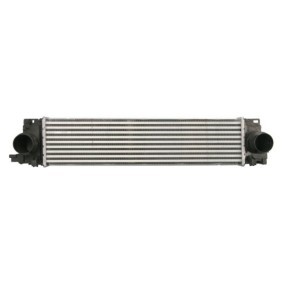 Kjøp Intercooler av THERMOTEC DAV010TT til den lave prisen 1330,79 NOK