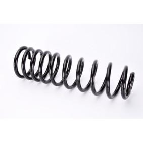 Fahrwerksfeder SW064MT von Magnum Technology günstig für 45,13 € online kaufen