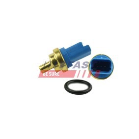 Køb Sensor, indsugningstemp. af FAST FT80134 til den lave pris 73,67 DKK