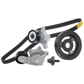 Acquista Kit Cinghie Poly-V da RIDEX 542R1073 a buon mercato per soli 181,79 €