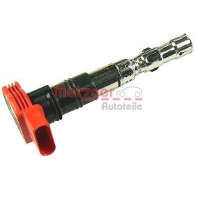 Acquista Bobina d'accensione da METZGER 0880132 a buon mercato per soli 58,85 €