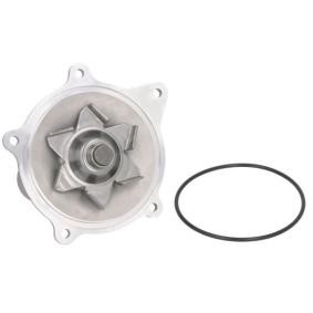 Compre Bomba de agua de THERMOTEC online para VOYAGER II (ES) a precios moderados