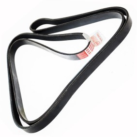 Compre Correia trapezoidal estriada da MASTER-SPORT 6PK2390-PCS-MS a um preço baixo por 28,25 €