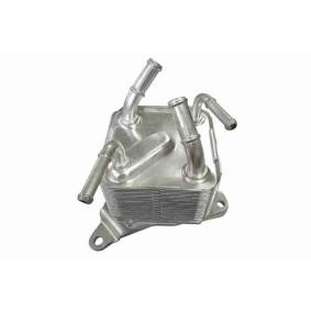 Acquista Radiatore olio motore da ACKOJA A37-60-0002 a buon mercato per soli 517,22 €