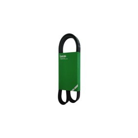 Compre Correia trapezoidal estriada da LUCAS 5PK1792L a um preço baixo por 12,72 €