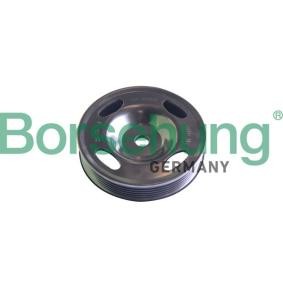 Acquista Ingranaggio albero motore da Borsehung B12080 a buon mercato per soli 19,90 €
