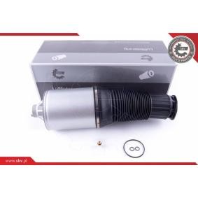 Luftfeder, Fahrwerk 58SKV034