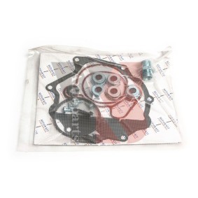 Comprar Kit reparación, bomba vacío (frenos) de YSPARTS YS-VP01XLB01 a bajo precio de 27,76 €