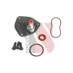 Acquista Kit riparazione, Pompa a depressione (Sistema frenante) da YSPARTS YS-VP13XLB01 a buon mercato per soli 12,00 €