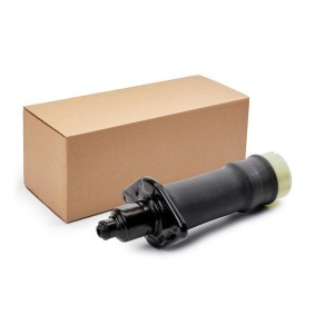 Osta Ilmajousi RIDEX:llä 4119A0121 edullisesti hintaan 96,74 €