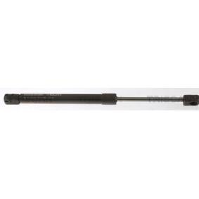 Heckklappendämpfer für MINI von TRISCAN