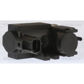 Acquista Convertitore pressione, Controllo gas scarico da TRISCAN 8813 13071 a buon mercato per soli 79,16 €