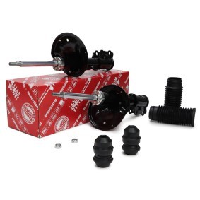 Compre Amortecedor da MASTER-SPORT 16K001693 a um preço baixo por 167,55 €
