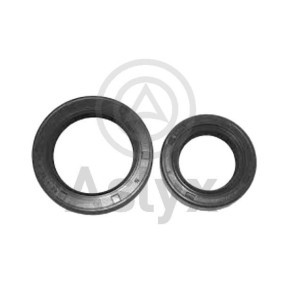 Köp Oljetätningsring för differential av Aslyx AS-202048 till det låga priset 96,36 kr