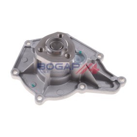 Achetez des Pompe à eau BOGAP A4234134 à prix pour 32,43 €
