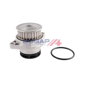 Achetez des Pompe à eau BOGAP A4234148 à prix pour 37,82 €