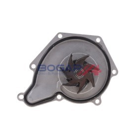 Achetez des Pompe à eau BOGAP A4234150 à prix pour 40,06 €