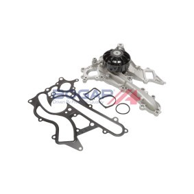 Compre Bomba de água da BOGAP C4234110 a um preço baixo por 95,12 €
