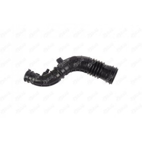Acquista Tubo aspirazione filtro aria da IBRAS 11037 a buon mercato per soli 31,17 €