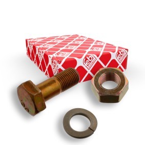 Acquista Bullone, Flangia albero cardanico da FEBI BILSTEIN 03344 a buon mercato per soli 1,58 €