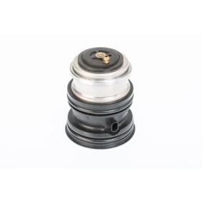 Thermostat von WAHLER für Cayenne (92A) günstig online kaufen
