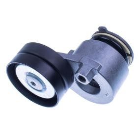 Achetez des Galet tendeur de courroie d'accessoire DENCKERMANN P422005 à prix pour 63,24 €