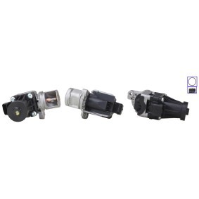 Acquista Valvola EGR da DRI 717730458 a buon mercato per soli 325,28 €
