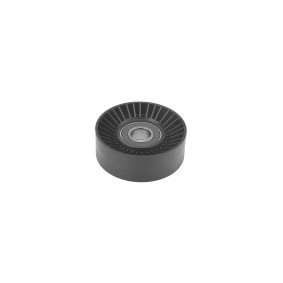Acquista Galoppino guidacinghia, cinghia Poly-V da FEBI BILSTEIN 19247 a buon mercato per soli 28,99 €