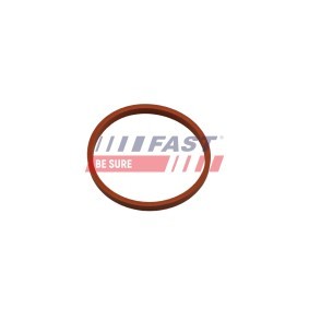 Acquista Anello tenuta, Flessibile aria alimentazione da FAST FT48932 a buon mercato per soli 5,20 €