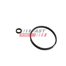 Acquista Anello tenuta, Flessibile aria alimentazione da FAST FT48933 a buon mercato per soli 7,18 €