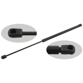 Acquista Ammortizzatore pneumatico cofano motore da FEBI BILSTEIN 27598 a buon mercato per soli 23,87 €
