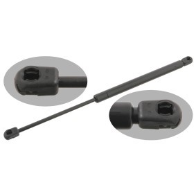 Heckklappendämpfer für RENAULT von FEBI BILSTEIN