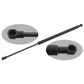 Acquista Ammortizzatore pneumatico cofano motore da FEBI BILSTEIN 29285 a buon mercato per soli 26,96 €