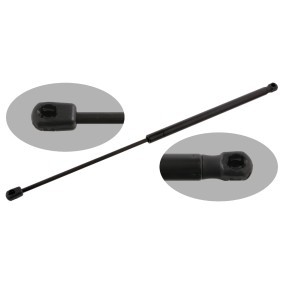 Acquista Ammortizzatore pneumatico cofano motore da FEBI BILSTEIN 33059 a buon mercato per soli 33,66 €