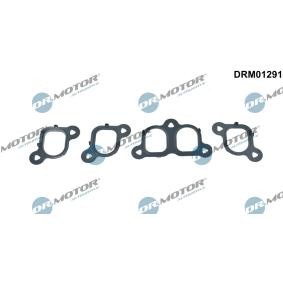 Kjøp Tetningssett, innsugningsmanifold av DR.MOTOR AUTOMOTIVE DRM01291 til den lave prisen 311,82 NOK