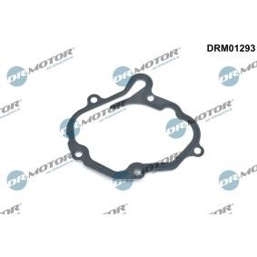 Acquista Guarnizione, Pompa depressione da DR.MOTOR AUTOMOTIVE DRM01293 a buon mercato per soli 12,66 €