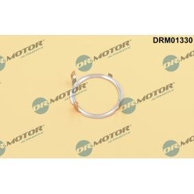 AGR-Ventil-Dichtung DRM01330