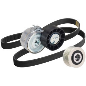 Achetez des Kit de courroie d'accessoire de chez RIDEX en ligne pour C4 I Van / 3/5 portes (LR_) à prix modérés