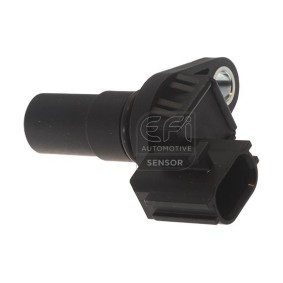 Drehzahlsensor, Automatikgetriebe von EFI AUTOMOTIVE 303497