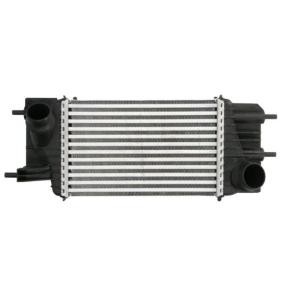 Kjøp Intercooler av THERMOTEC DA1013TT til den lave prisen 1628,73 NOK