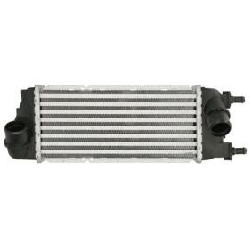 Achetez des Intercooler THERMOTEC DAF016TT à prix pour 78,46 €