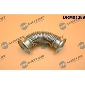 Acquista Condotto, Valvola-AGR da DR.MOTOR AUTOMOTIVE DRM01389 a buon mercato per soli 33,11 €
